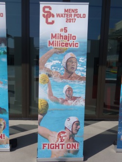 Mihajlo Milicevic