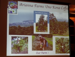 Arianna Farms